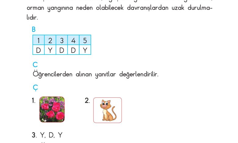 3. Sınıf Sdr Dikey Yayıncılık Fen Bilimleri Ders Kitabı Sayfa 217 Cevapları