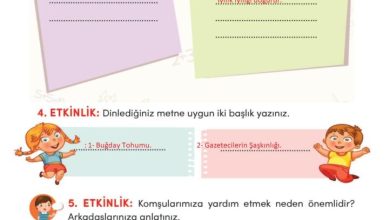 3. Sınıf Türkçe Meb Yayınları Sayfa 101 Cevapları