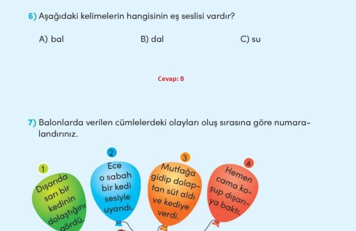 3. Sınıf Türkçe Meb Yayınları Sayfa 107 Cevapları