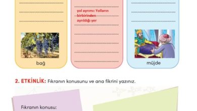 3. Sınıf Türkçe Meb Yayınları Sayfa 111 Cevapları