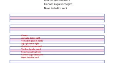 3. Sınıf Türkçe Meb Yayınları Sayfa 124 Cevapları