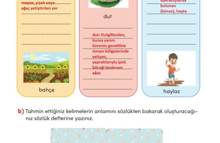 3. Sınıf Türkçe Meb Yayınları Sayfa 13 Cevapları