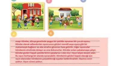 3. Sınıf Türkçe Meb Yayınları Sayfa 130 Cevapları