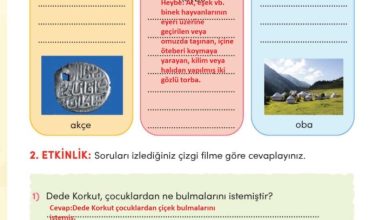 3. Sınıf Türkçe Meb Yayınları Sayfa 133 Cevapları