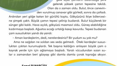 3. Sınıf Türkçe Meb Yayınları Sayfa 139 Cevapları