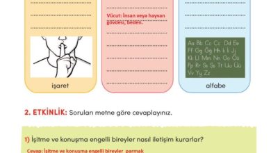 3. Sınıf Türkçe Meb Yayınları Sayfa 152 Cevapları