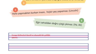 3. Sınıf Türkçe Meb Yayınları Sayfa 156 Cevapları