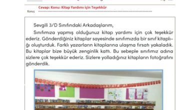 3. Sınıf Türkçe Meb Yayınları Sayfa 160 Cevapları