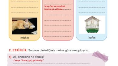 3. Sınıf Türkçe Meb Yayınları Sayfa 165 Cevapları