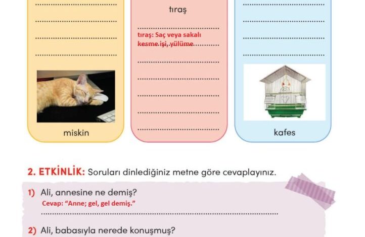 3. Sınıf Türkçe Meb Yayınları Sayfa 165 Cevapları