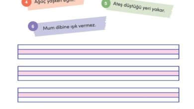 3. Sınıf Türkçe Meb Yayınları Sayfa 168 Cevapları