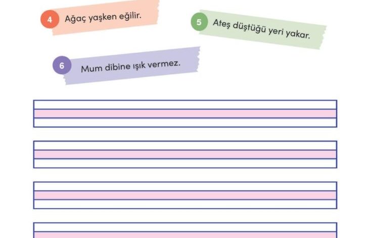 3. Sınıf Türkçe Meb Yayınları Sayfa 168 Cevapları