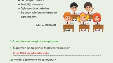 3. Sınıf Türkçe Meb Yayınları Sayfa 170 Cevapları