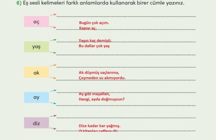 3. Sınıf Türkçe Meb Yayınları Sayfa 171 Cevapları