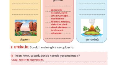 3. Sınıf Türkçe Meb Yayınları Sayfa 176 Cevapları