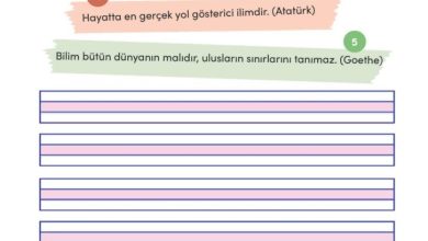 3. Sınıf Türkçe Meb Yayınları Sayfa 180 Cevapları