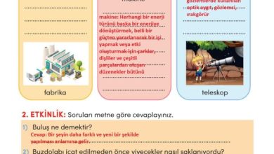 3. Sınıf Türkçe Meb Yayınları Sayfa 183 Cevapları