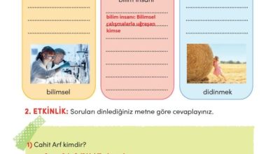 3. Sınıf Türkçe Meb Yayınları Sayfa 196 Cevapları