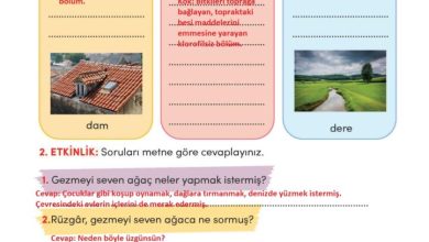 3. Sınıf Türkçe Meb Yayınları Sayfa 20 Cevapları