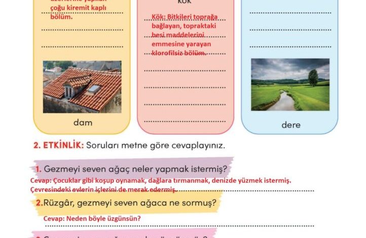 3. Sınıf Türkçe Meb Yayınları Sayfa 20 Cevapları