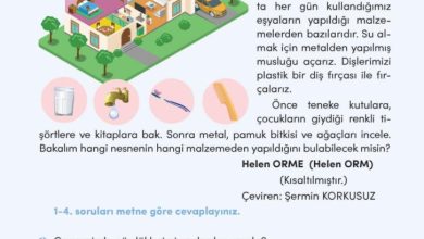 3. Sınıf Türkçe Meb Yayınları Sayfa 202 Cevapları