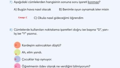 3. Sınıf Türkçe Meb Yayınları Sayfa 203 Cevapları