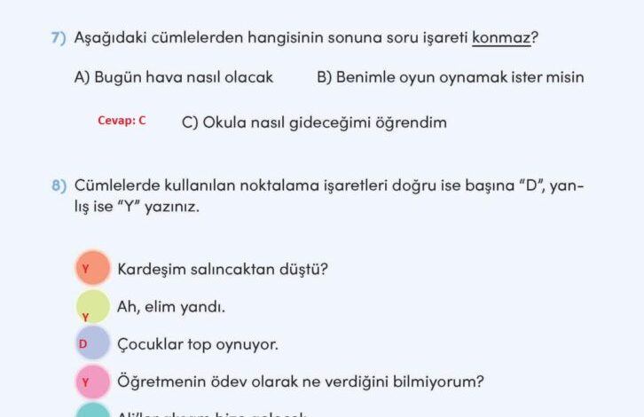 3. Sınıf Türkçe Meb Yayınları Sayfa 203 Cevapları