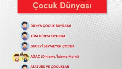 3. Sınıf Türkçe Meb Yayınları Sayfa 205 Cevapları