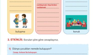 3. Sınıf Türkçe Meb Yayınları Sayfa 207 Cevapları