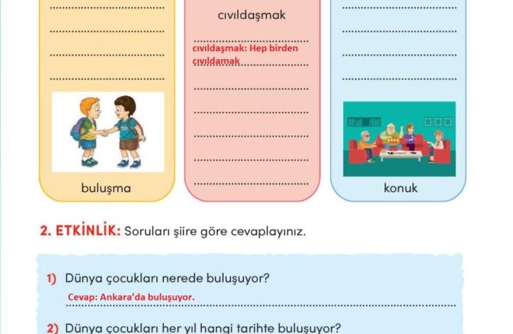 3. Sınıf Türkçe Meb Yayınları Sayfa 207 Cevapları