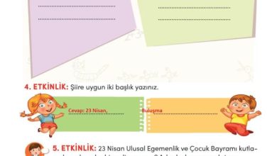 3. Sınıf Türkçe Meb Yayınları Sayfa 208 Cevapları