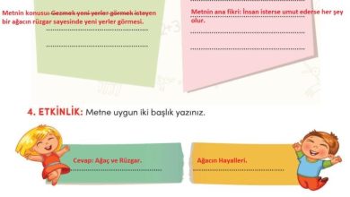 3. Sınıf Türkçe Meb Yayınları Sayfa 21 Cevapları