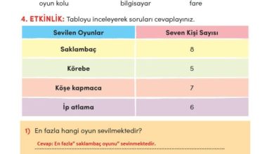 3. Sınıf Türkçe Meb Yayınları Sayfa 215 Cevapları