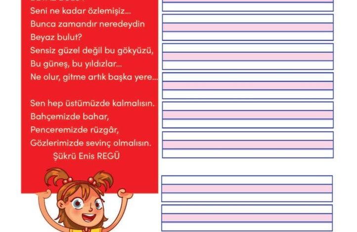 3. Sınıf Türkçe Meb Yayınları Sayfa 217 Cevapları