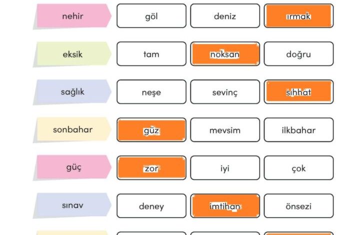 3. Sınıf Türkçe Meb Yayınları Sayfa 222 Cevapları