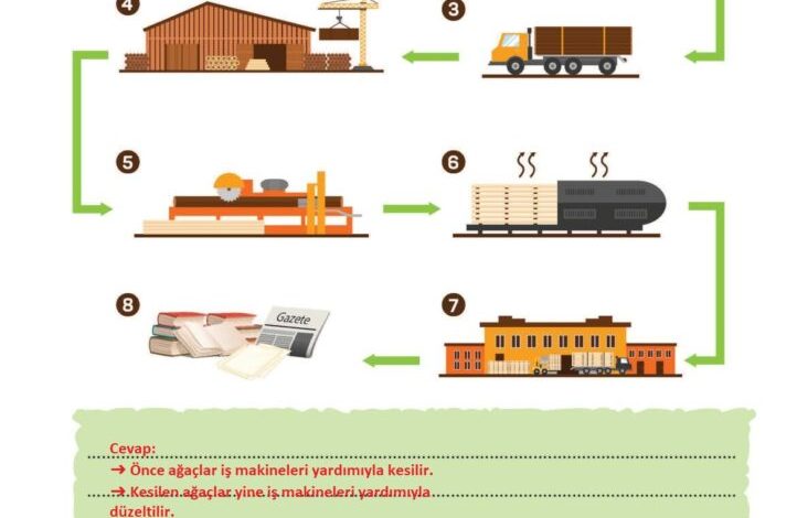 3. Sınıf Türkçe Meb Yayınları Sayfa 224 Cevapları