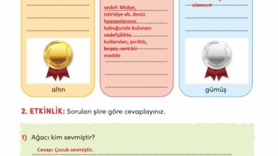 3. Sınıf Türkçe Meb Yayınları Sayfa 227 Cevapları