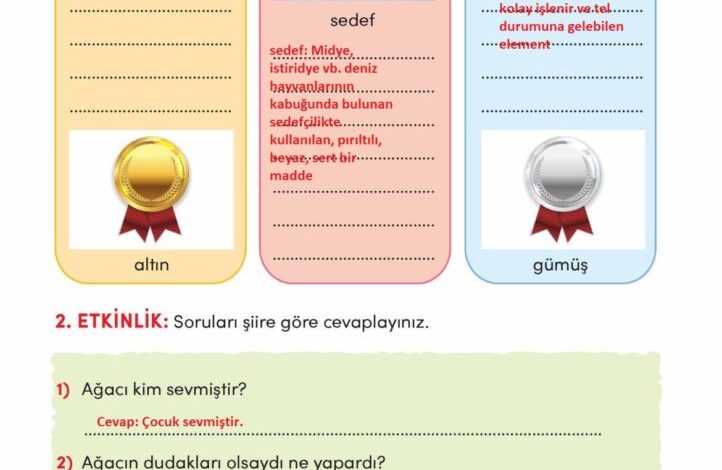 3. Sınıf Türkçe Meb Yayınları Sayfa 227 Cevapları