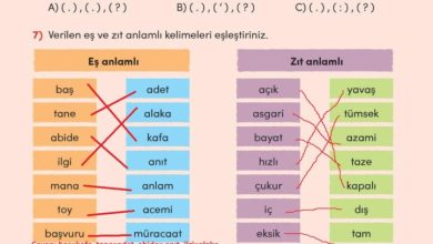 3. Sınıf Türkçe Meb Yayınları Sayfa 233 Cevapları