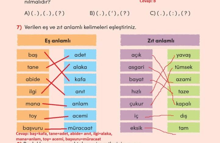 3. Sınıf Türkçe Meb Yayınları Sayfa 233 Cevapları