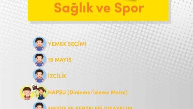 3. Sınıf Türkçe Meb Yayınları Sayfa 235 Cevapları