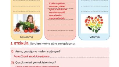 3. Sınıf Türkçe Meb Yayınları Sayfa 238 Cevapları