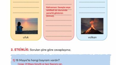 3. Sınıf Türkçe Meb Yayınları Sayfa 244 Cevapları