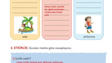 3. Sınıf Türkçe Meb Yayınları Sayfa 250 Cevapları