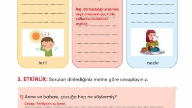 3. Sınıf Türkçe Meb Yayınları Sayfa 256 Cevapları