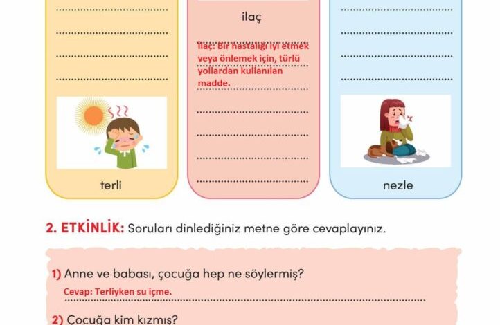 3. Sınıf Türkçe Meb Yayınları Sayfa 256 Cevapları