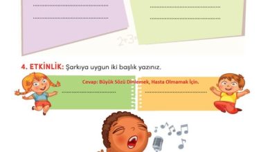 3. Sınıf Türkçe Meb Yayınları Sayfa 257 Cevapları