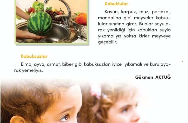 3. Sınıf Türkçe Meb Yayınları Sayfa 261 Cevapları