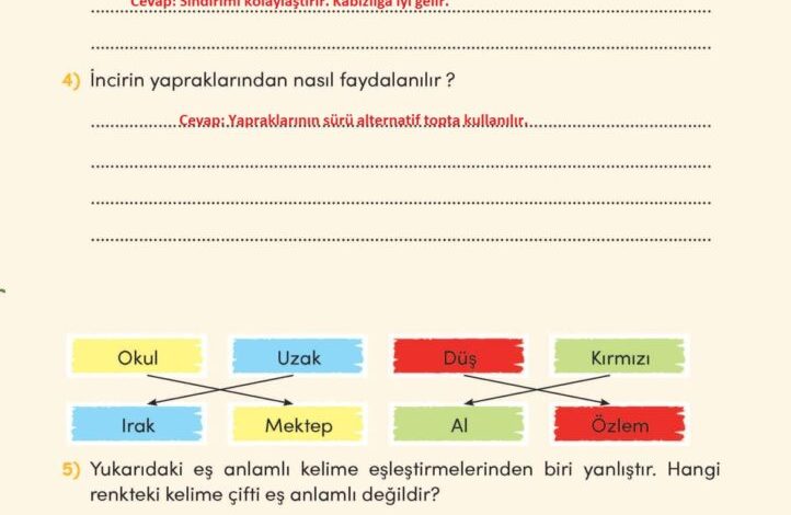 3. Sınıf Türkçe Meb Yayınları Sayfa 263 Cevapları