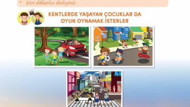 3. Sınıf Türkçe Meb Yayınları Sayfa 31 Cevapları